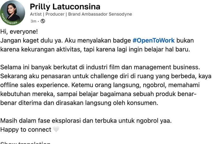 prilly latuconsina viral linkedin post