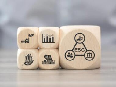 Keeping Up with the New Normal: The Rise of ESG in Doing Business as Usual