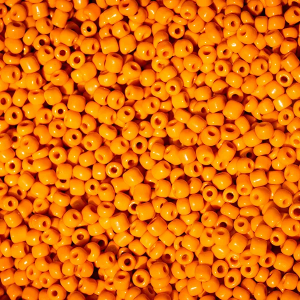 Corporate Training Service